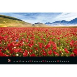 Korsch Bildkalender Colourful Seasons, Jahr 2023, Motiv: Landschaftsbilder, Spiralkalender 58 X 39cm -Leitz Shop 0a381c453ae65e50b26461060aab541630cb2836 bildkalender korsch colourful seasons jahr 2023