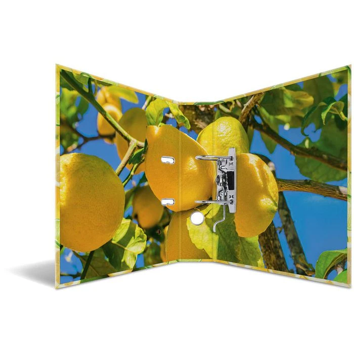 Herma Ordner 7114 Früchte, Karton, A4, 7cm, Motiv Zitrone 4 Herma Ordner 7114 Früchte, Karton, A4, 7cm, Motiv Zitrone – Bild 2