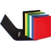 Pagna Ringbuch 20607-00 Basic, A4, 2 Ringe, Ring-Ø 20mm, Farbig Sortiert, 12 Stück -Leitz Shop 544db7fd39faebb91acb8b69a74a981f61493fc8 ringbuch pagna 20607 00 basic a4