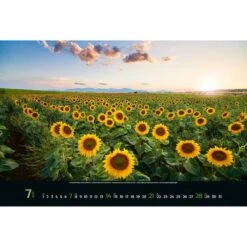 Korsch Bildkalender Colourful Seasons, Jahr 2023, Motiv: Landschaftsbilder, Spiralkalender 58 X 39cm -Leitz Shop 5ababf4212684da78276541ed257188f176d3870 bildkalender korsch colourful seasons jahr 2023