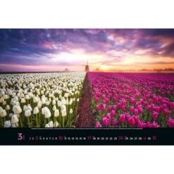 Korsch Bildkalender Colourful Seasons, Jahr 2023, Motiv: Landschaftsbilder, Spiralkalender 58 X 39cm -Leitz Shop 9bd79330b15a04bd4bc7a8cb456b3dc3495e7b5a bildkalender korsch colourful seasons jahr 2023