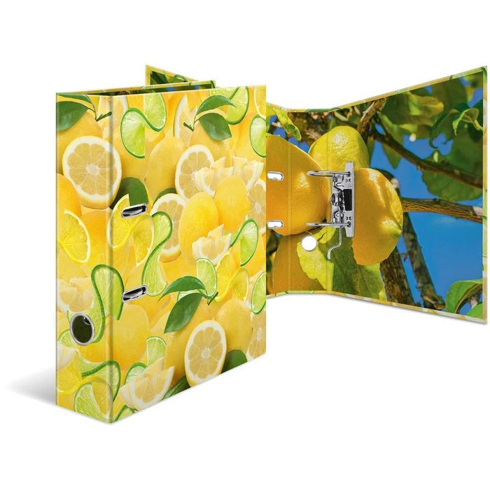 Herma Ordner 7114 Früchte, Karton, A4, 7cm, Motiv Zitrone 6 Herma Ordner 7114 Früchte, Karton, A4, 7cm, Motiv Zitrone – Bild 4