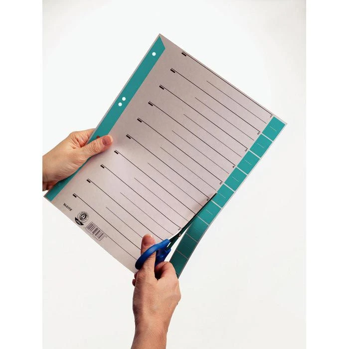 Leitz 1652-30-30 Trennblätter A4 Karton Grau-blau 4 Leitz 1652-30-30 Trennblätter A4 Karton Grau-blau – Bild 2